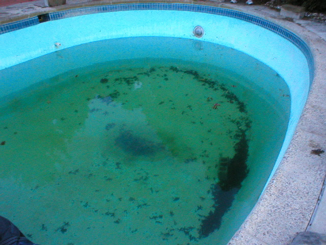 Old Pool